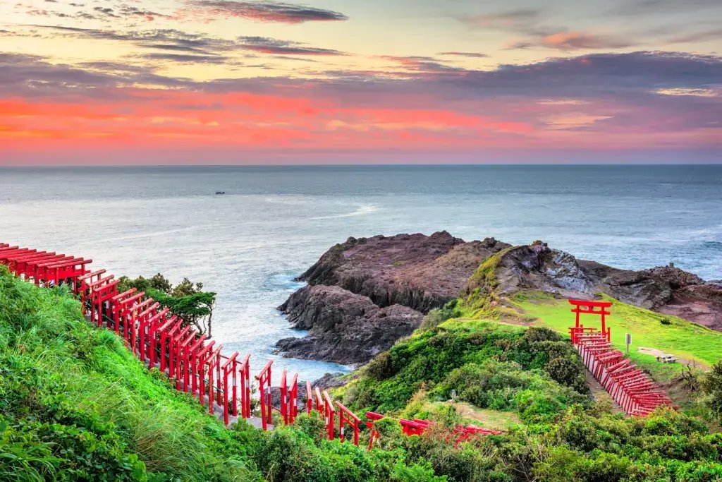 🌸 모치오 공원 (母智丘公園) 이미지 7